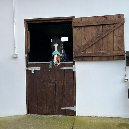 Toddys Hideaway Appartement Cavan Buitenkant foto