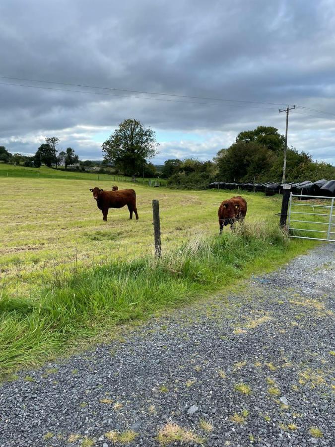 Toddys Hideaway Appartement Cavan Buitenkant foto