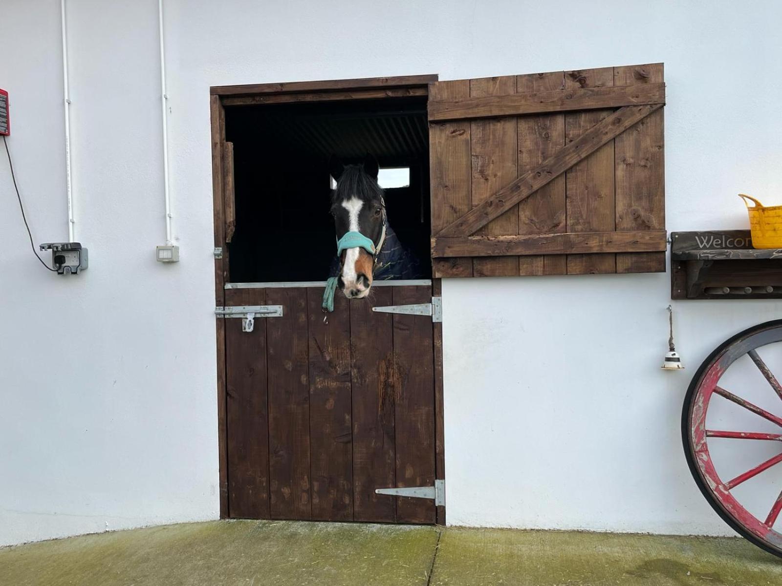 Toddys Hideaway Appartement Cavan Buitenkant foto